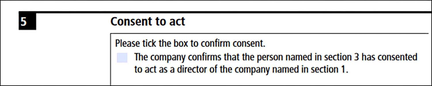 Screenshot of Companies House AP01 form