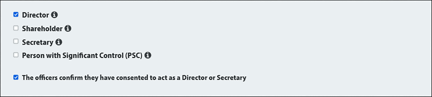 Screenshot of the 1st Formations director appointment page