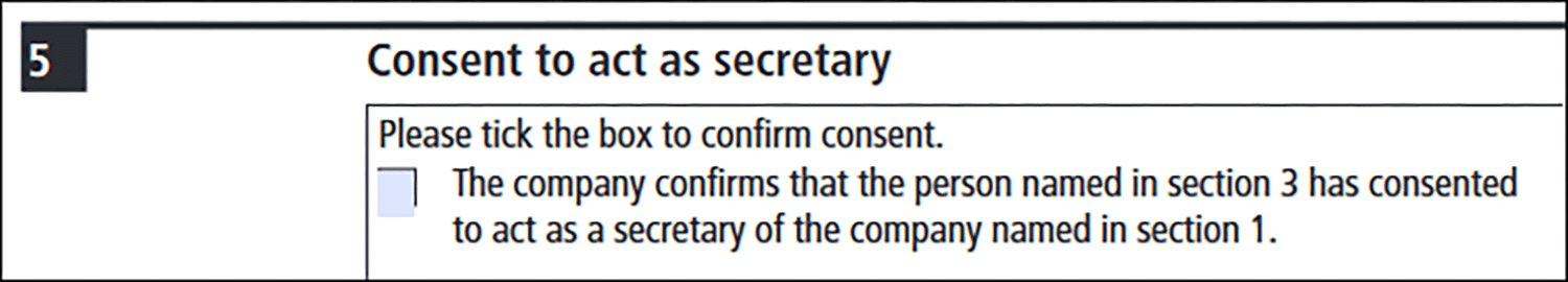 Screenshot of Companies House AP03 form