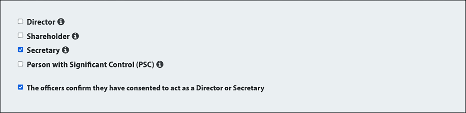 Screenshot of the 1st Formations secretary appointment page