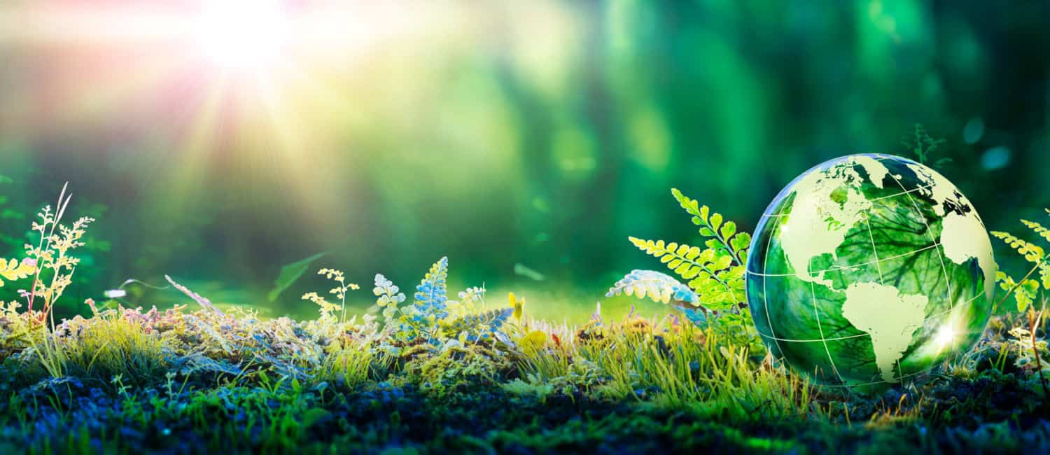 Environment Concept - glass globe in a green forest with sunlight.